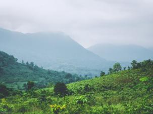 Naturlandschaft mit vielen B&auml;umen und Gr&uuml;nfl&auml;chen 
