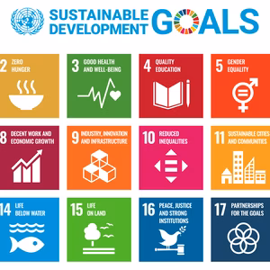 Die Ziele der 17 SDGs