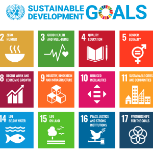 Die Wappen der 17 SDGs