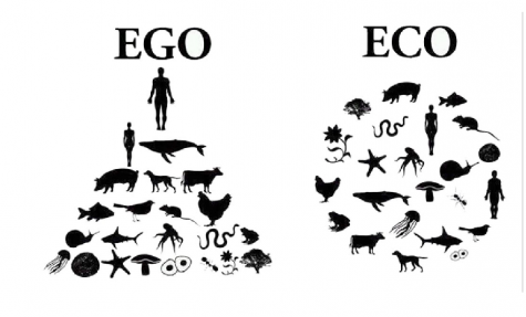 EGO / ECO