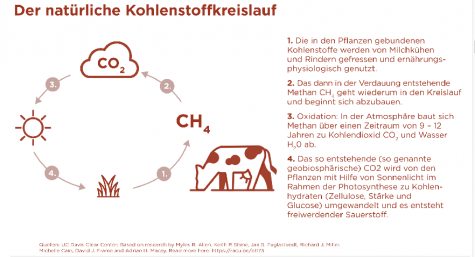 Kohlenstoffkreislauf