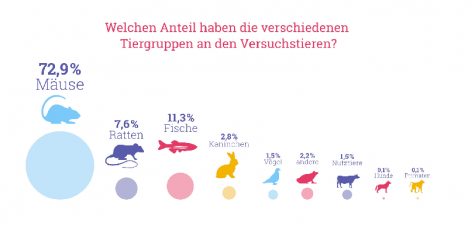 Tierversuche in Grafik