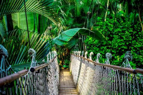 Hängebrücke im Amazonas Regenwald