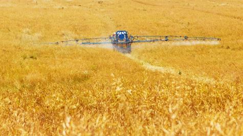 Pestizide werden auf Weizenfeld ausgebracht