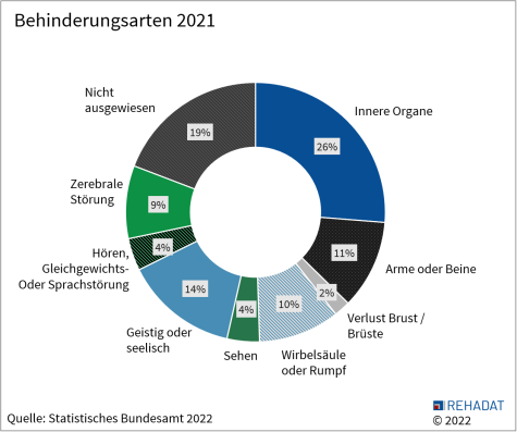Eine Grafik zu den Arten der Behinderung in Deutschland 2021
