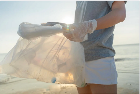 Freiwilliger M&uuml;lleinsammler