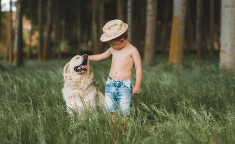 Junge mit Hund im Gras