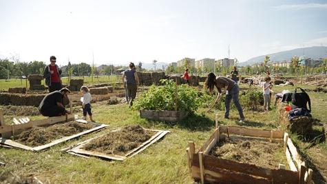 Eine Gruppe bei der Gartenarbeit