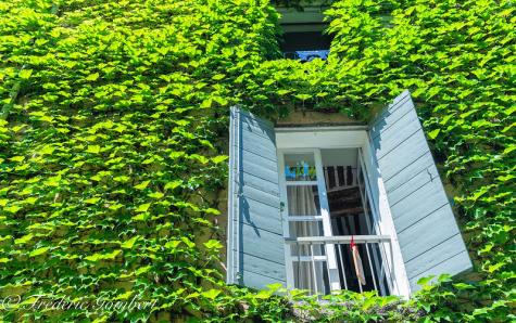 Ein fenster vor einer begr&uuml;nten Wand 
