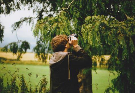 Ein Mann filmt einen Baum
