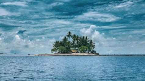 Insel mitten am Meer mit vielen Palmen steht hier sinnbildlich für Steueroasen.