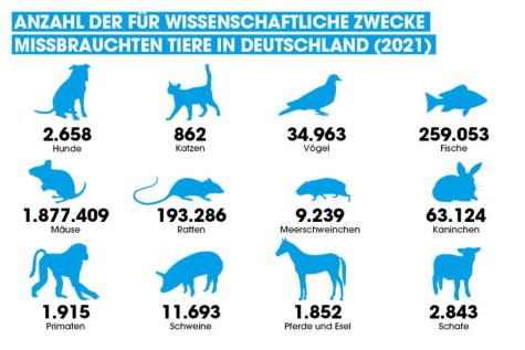 Statistik Tierversuche Deutschland