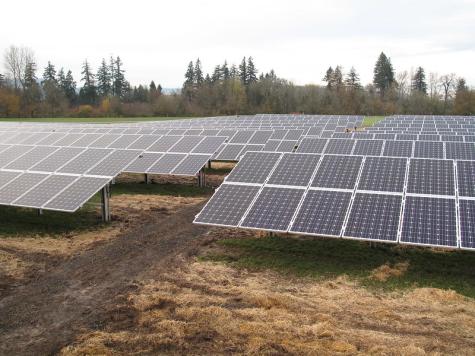 Eine Reihe Solaranlagen auf einem offenem Feld