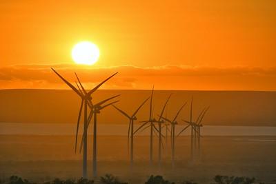 Eine Reihe Windr&auml;der vor einem Sonnenuntergang 