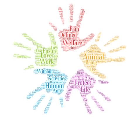 H&auml;nde - Tierschutz