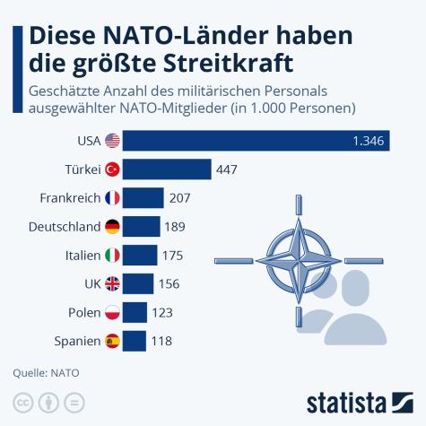 Eine Infografik zu den Streitkr&auml;ften der NATO-L&auml;nder