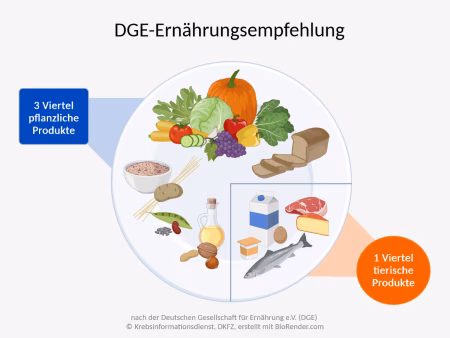 Ern&auml;hrung