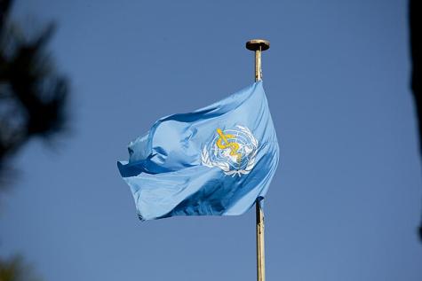 Eine Flagge der WHO an einem Mast