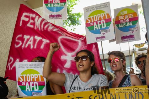 Eine Demo gegen die AfD mit Bannern und Schildern