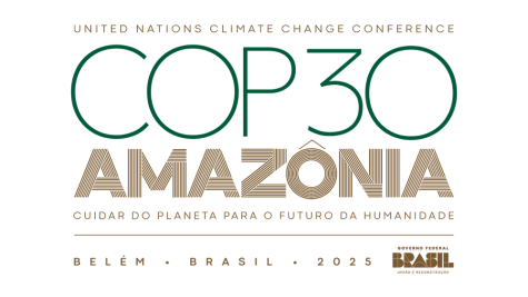 Logo der COP30