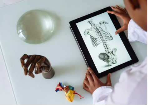 Arzt schaut auf Tablett Knochenbau an