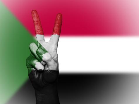 Eine Hand mit Peace-Geste vor einer Sudan-Flagge