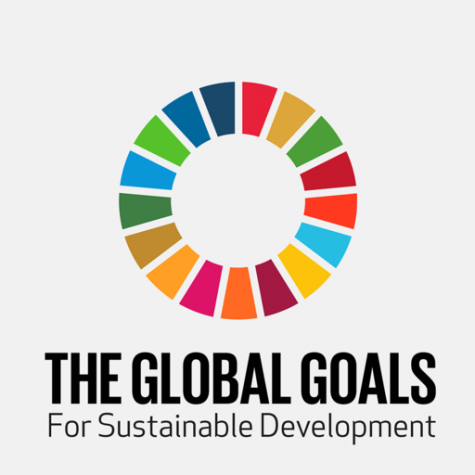 Das Logo der SDGs