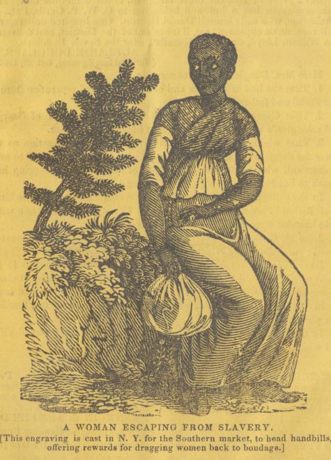 Eine stilisierte Darstellung einer Frau, die aus der Sklaverei flieht, sitzt neben einer Pflanze mit einem B&uuml;ndel in der Hand.