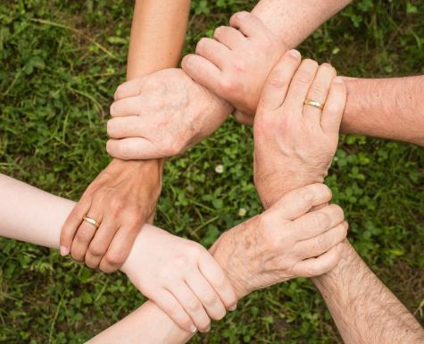 Sechs H&auml;nde unterschiedlicher Hautt&ouml;ne fassen sich in einem Kreis auf gr&uuml;nem Gras, um Gemeinschaft und Verbindung darzustellen.