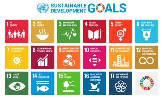 Die Ziele der 17 SDGs