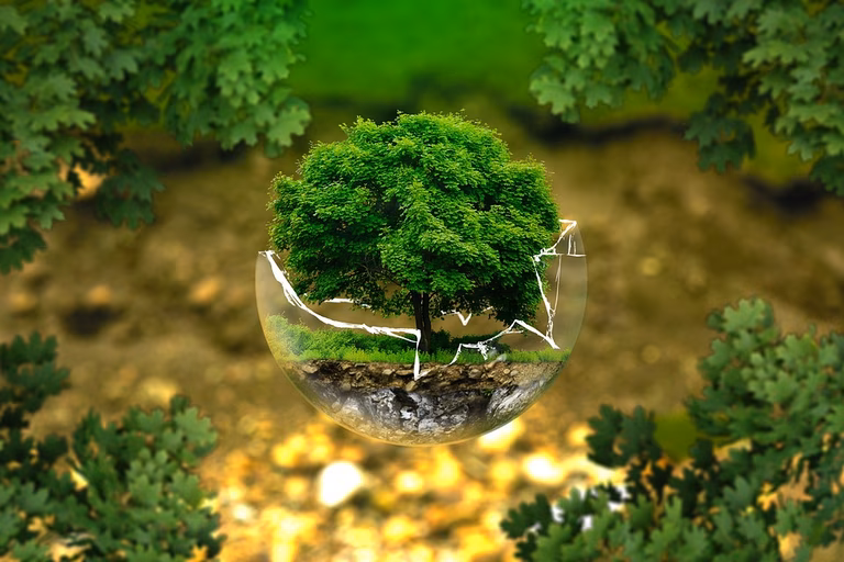 Natur
