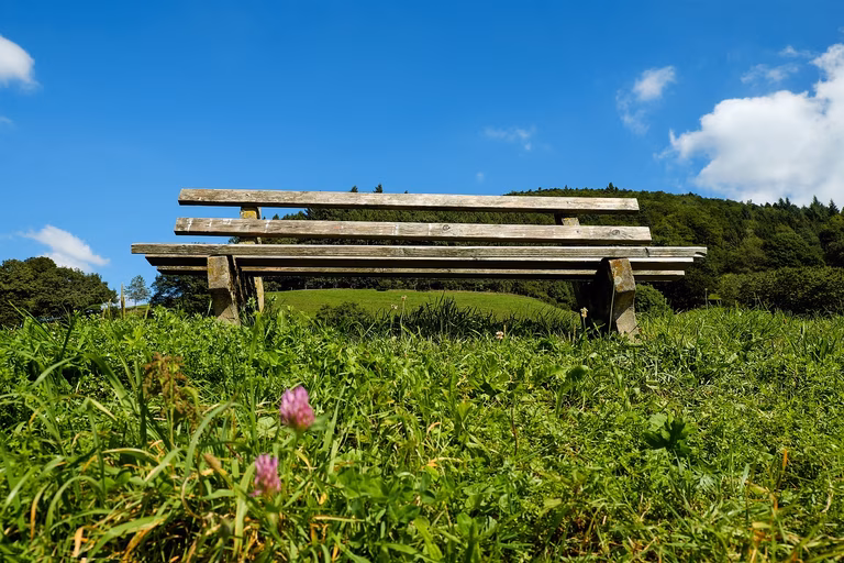 Bank auf der Wiese