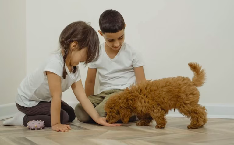 Kinder mit Hund